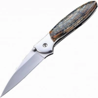 Полуавтоматический складной нож Santa Fe Kershaw Leek, сталь 14C28N, рукоять сталь с накладкой из зуба мамонта купить в Костроме